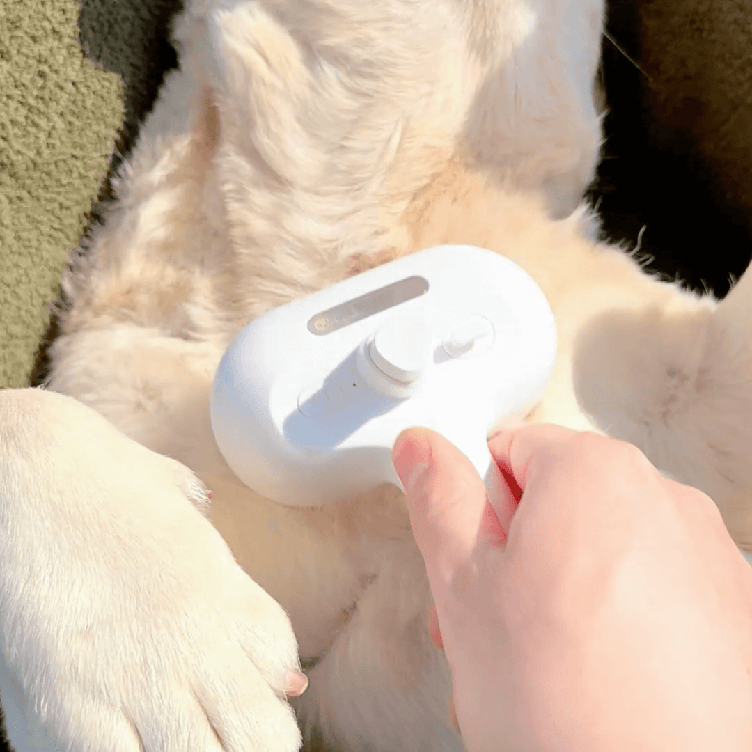 Lisslune | DampfVacht Steam Brush – Gentle Care for Every Dog Coat