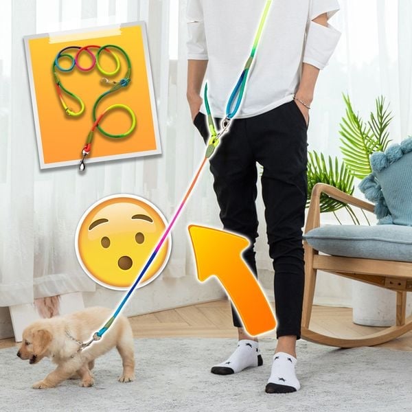 Lisslune | Hands Free Dog Leashes