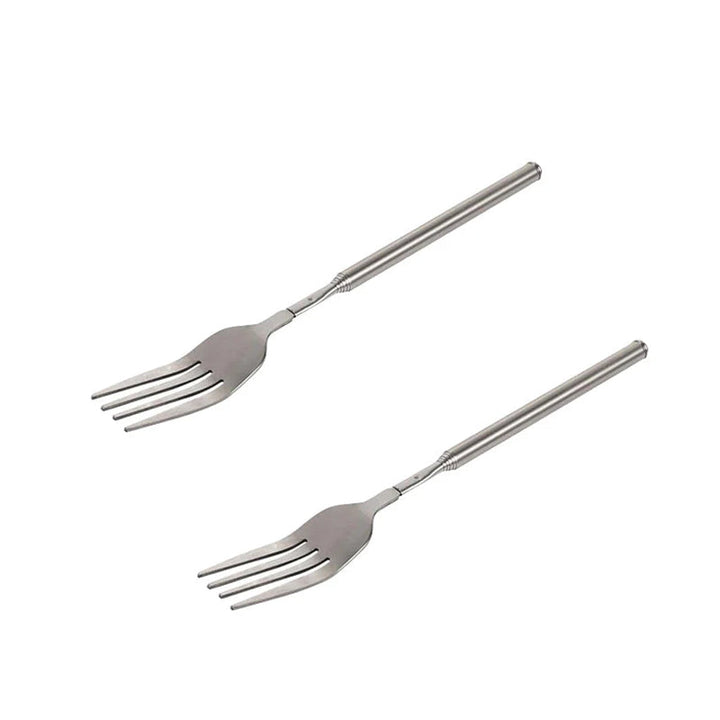 Lisslune | Stainless Steel Telescopic Fork