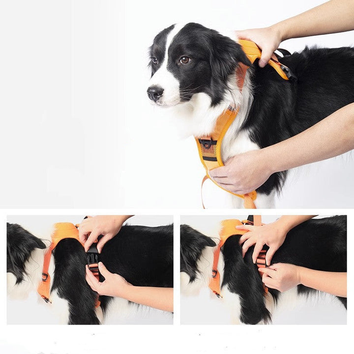 Lisslune | Dogpro | Winterproof dog leash and harness with integrated automatic retraction
