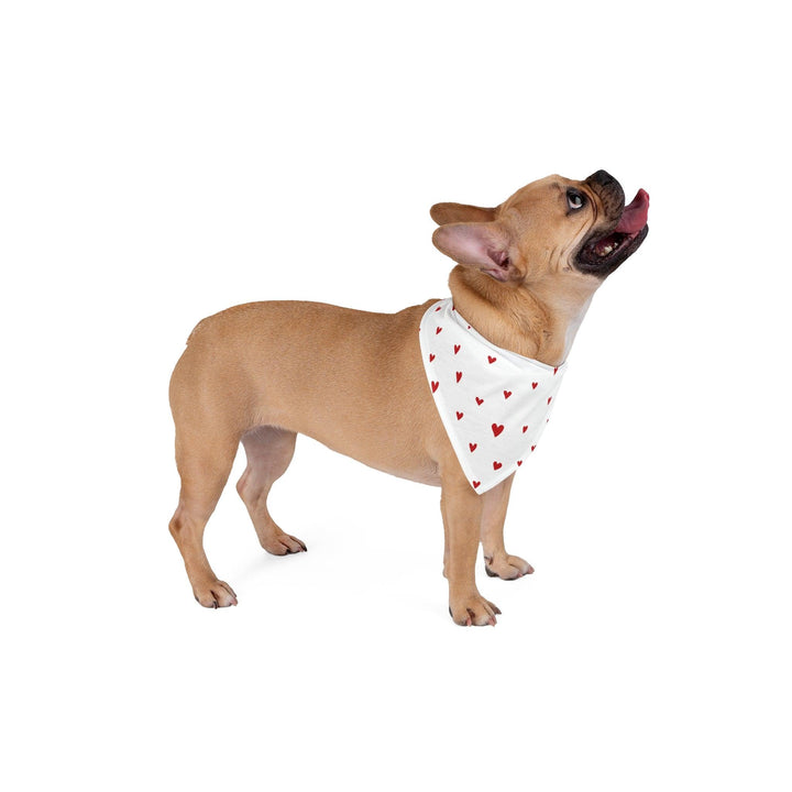 Lisslune | Chic Adjustable Pet Bandana: Enhance Your Pet's Style with Elegance