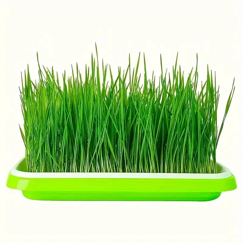 Lisslune | Germination trays with lid – Double-layer seed sowing tray for effective seed germination