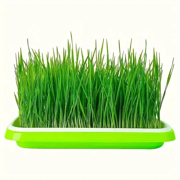 Lisslune | Germination trays with lid – Double-layer seed sowing tray for effective seed germination