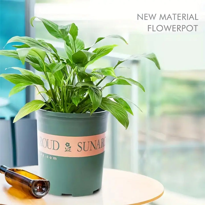 Lisslune | Robust Plant Pot Made of Plastic – Weatherproof Flower Pot for Garden and Balcony