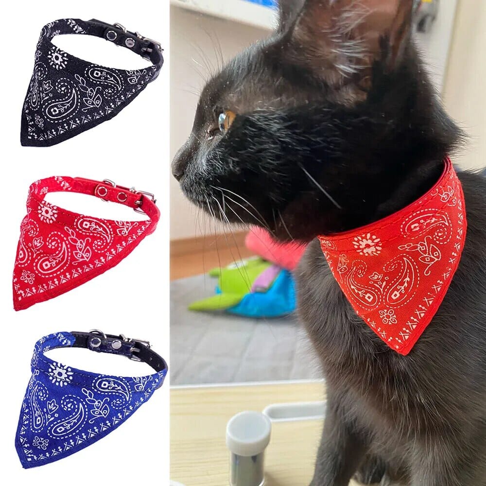 Lisslune | Pet Collar