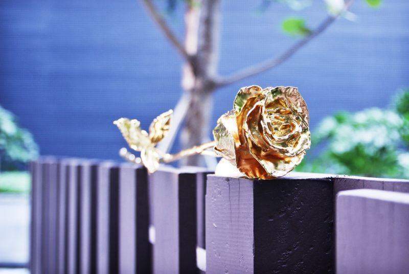 Lisslune | 24K Gold Roses