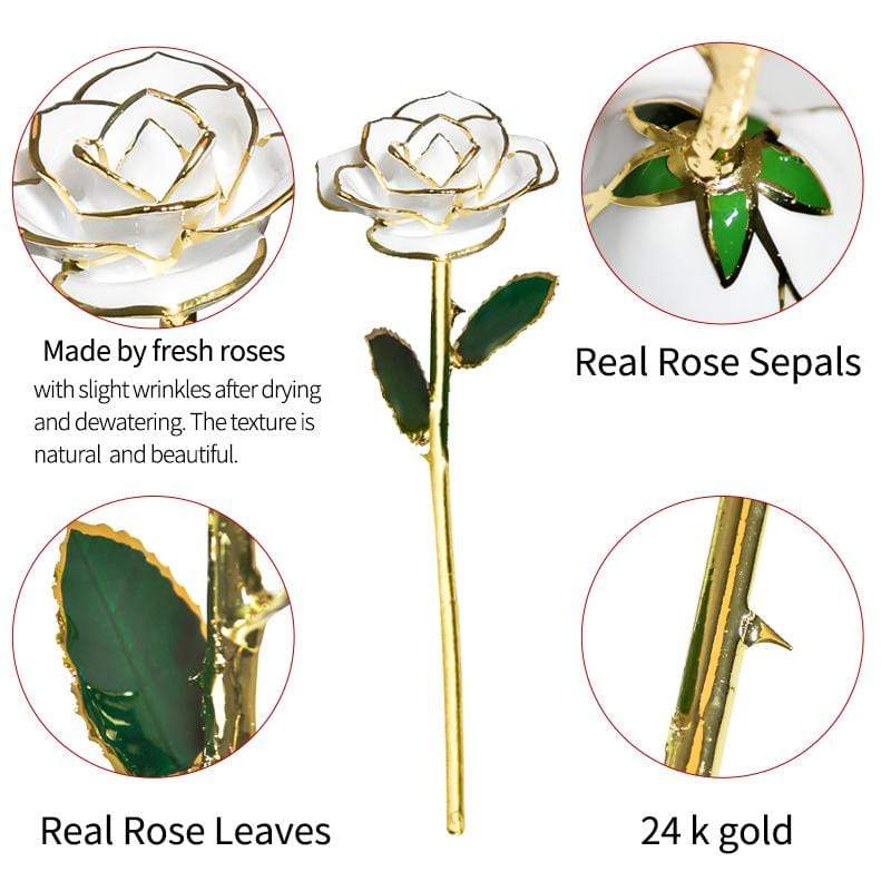 Lisslune | 24k Gold Dipped Eternal Rose