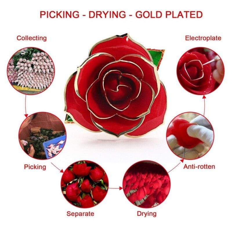 Lisslune | 24k Gold Dipped Eternal Rose
