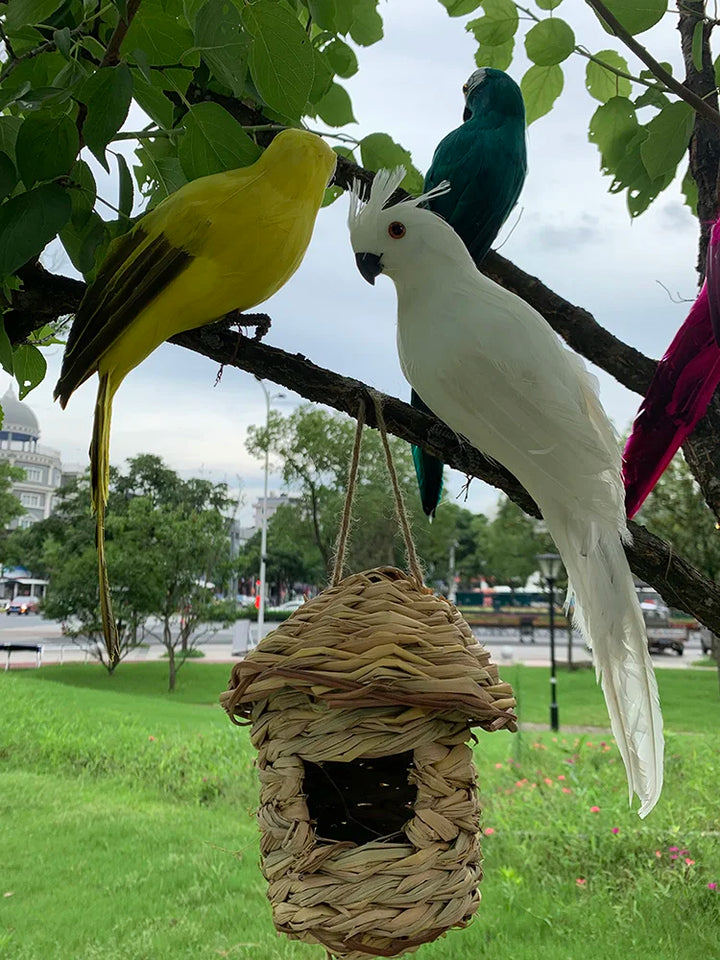 Lisslune | Parrot Garden Decoration - Tropic