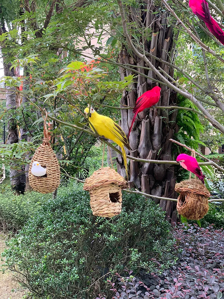 Lisslune | Parrot Garden Decoration - Tropic