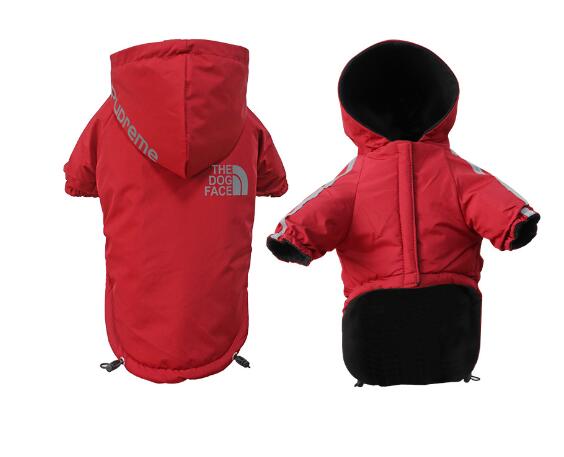 Lisslune | Reflective hoodie