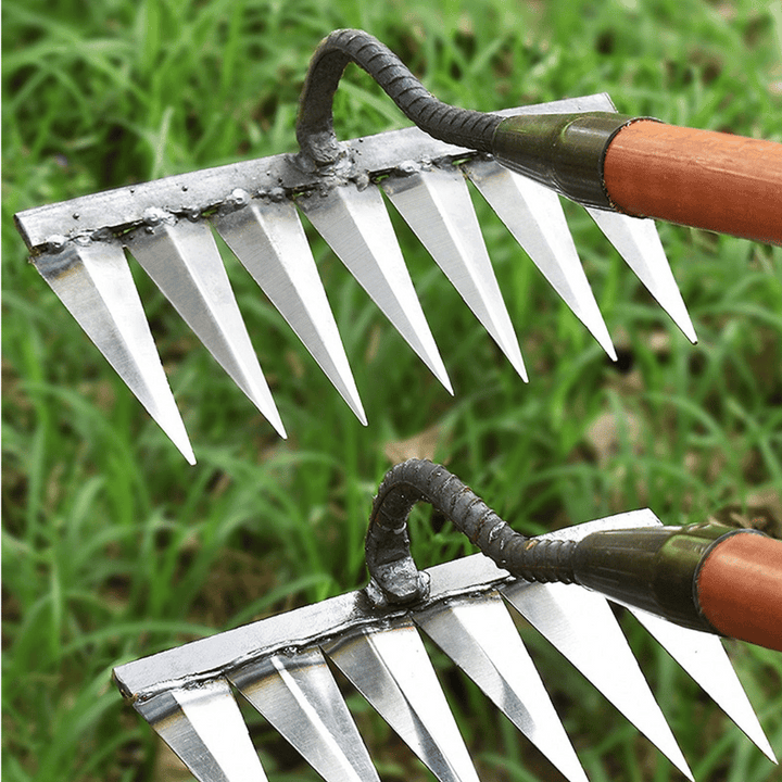 Lisslune | Iron Weed Control