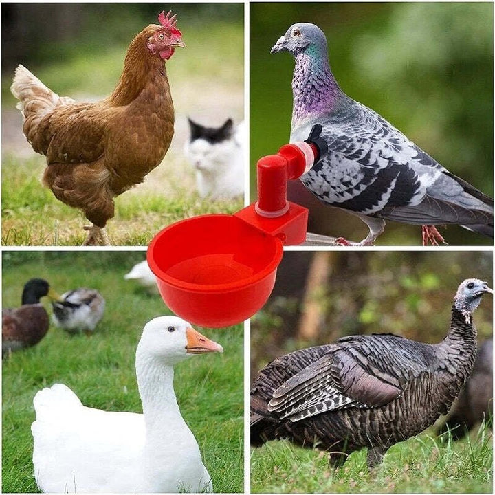 Lisslune | Automatic Chicken Water Cup Bird Coop