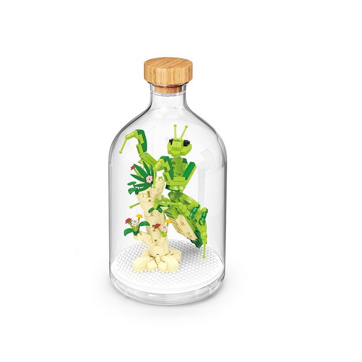 Lisslune | Mini building blocks for insect collection