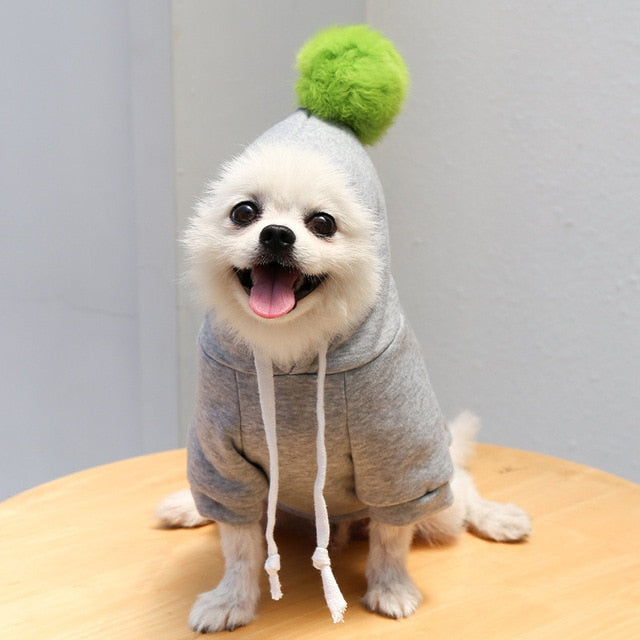 Lisslune | Pet Hoodies
