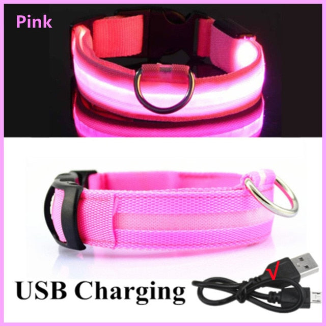 Lisslune | Luminous dog collar