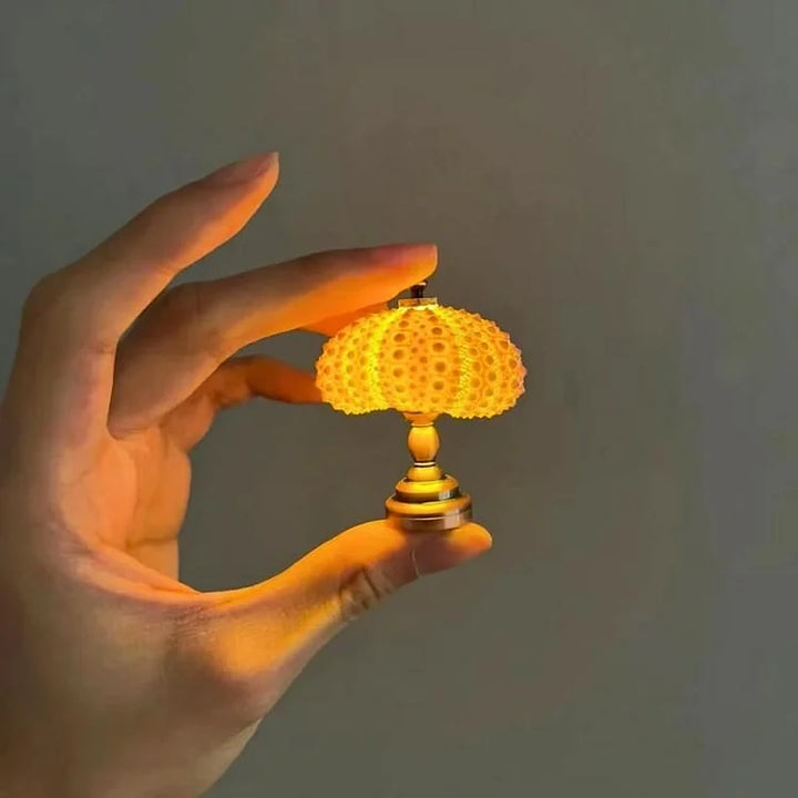Lisslune | LumiCraft – Unique DIY table lamp with natural sea shell for a cozy décor