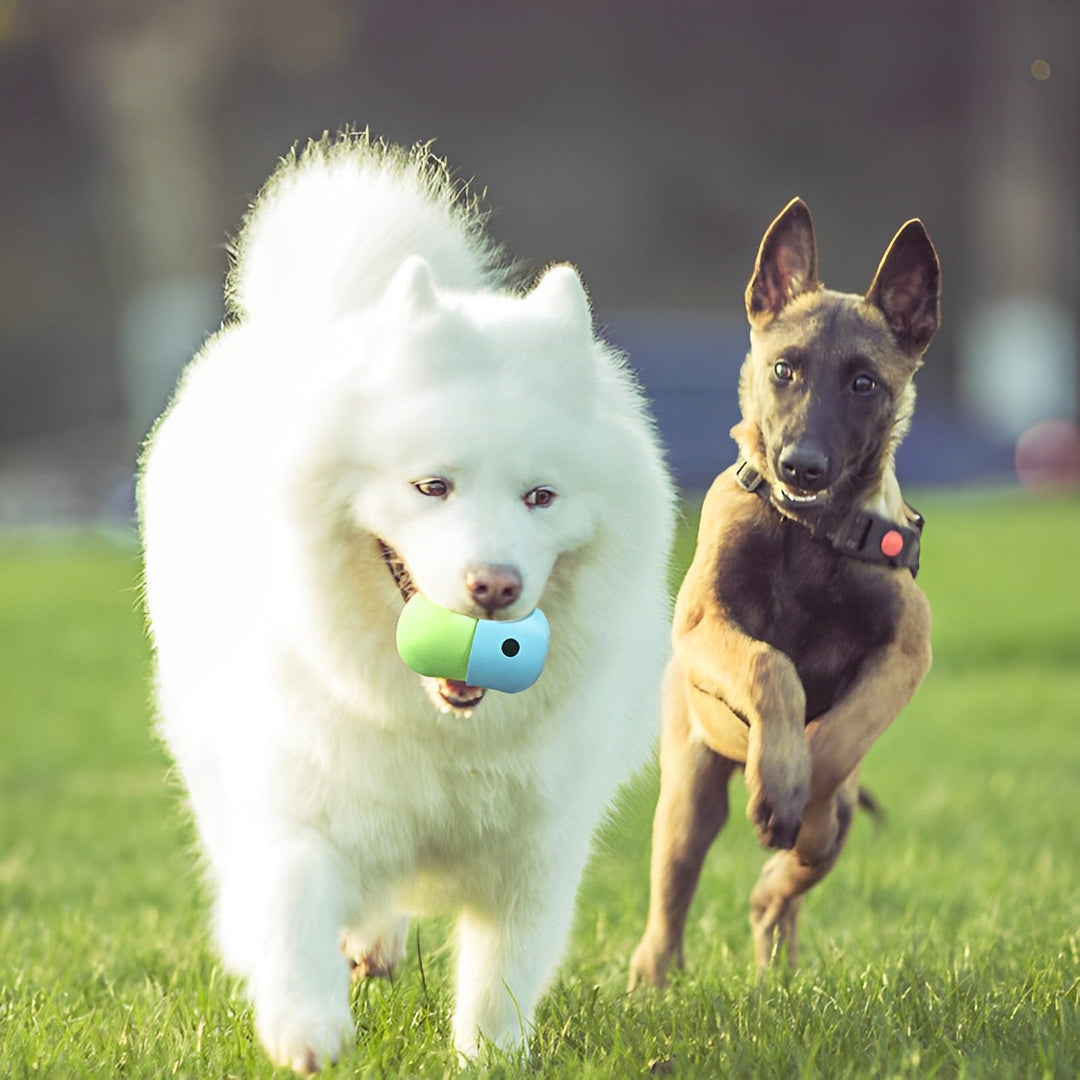 Lisslune | Pet Food Toy