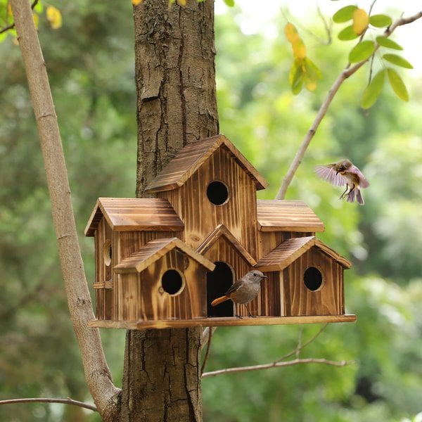 Lisslune | AviaryHaven - Nature Retreat with six entrances