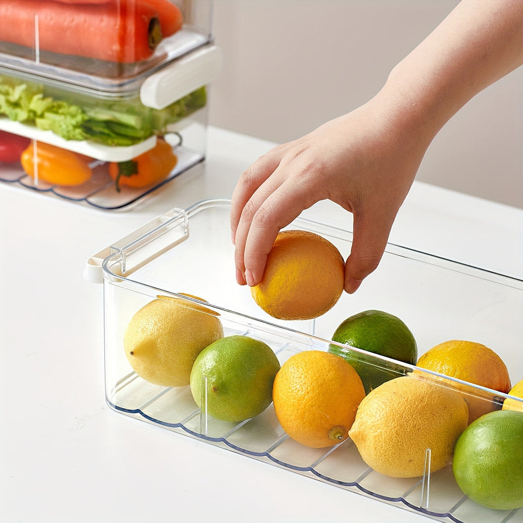 Lisslune | FreshKeep - Durable PET Container for Extended Freshness