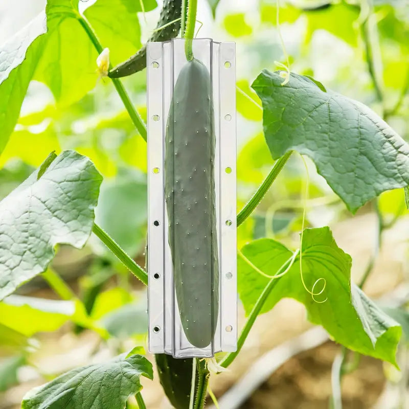Lisslune | Star shape vegetable mold for cucumbers – Creative mold rail for fruits and vegetables