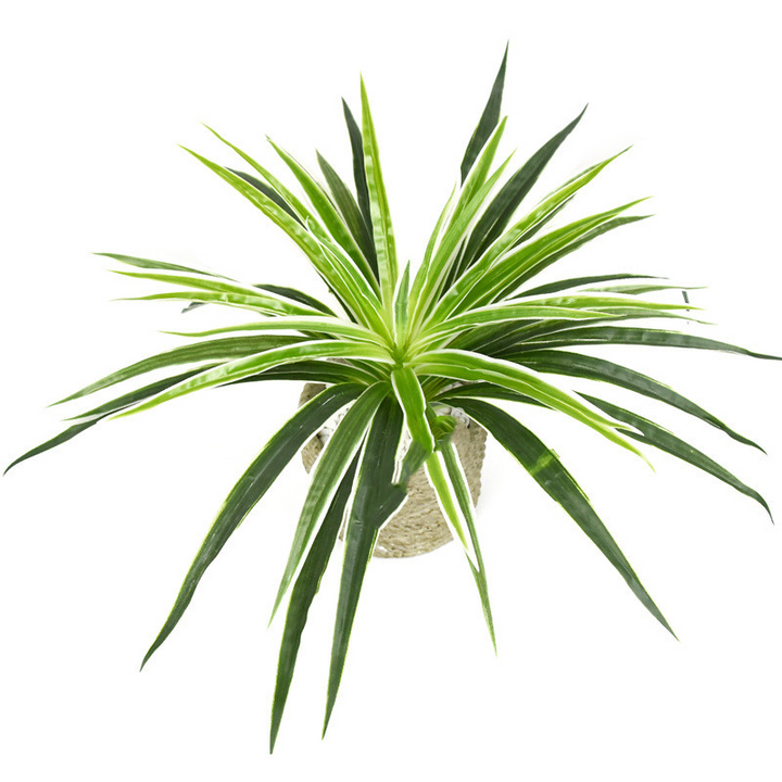 Lisslune | Artificial Grass Plant – Decorative Plant for Home and Office