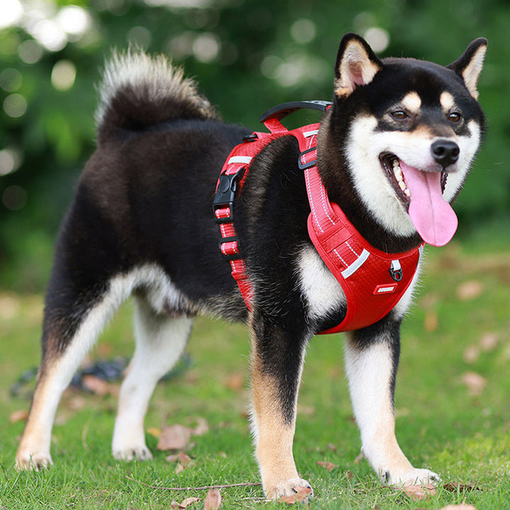 Lisslune | Reflective Dog Harness