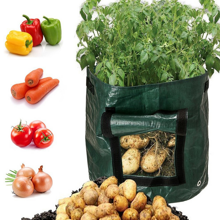 Lisslune | Planting bag for potatoes – Reusable and with viewing window