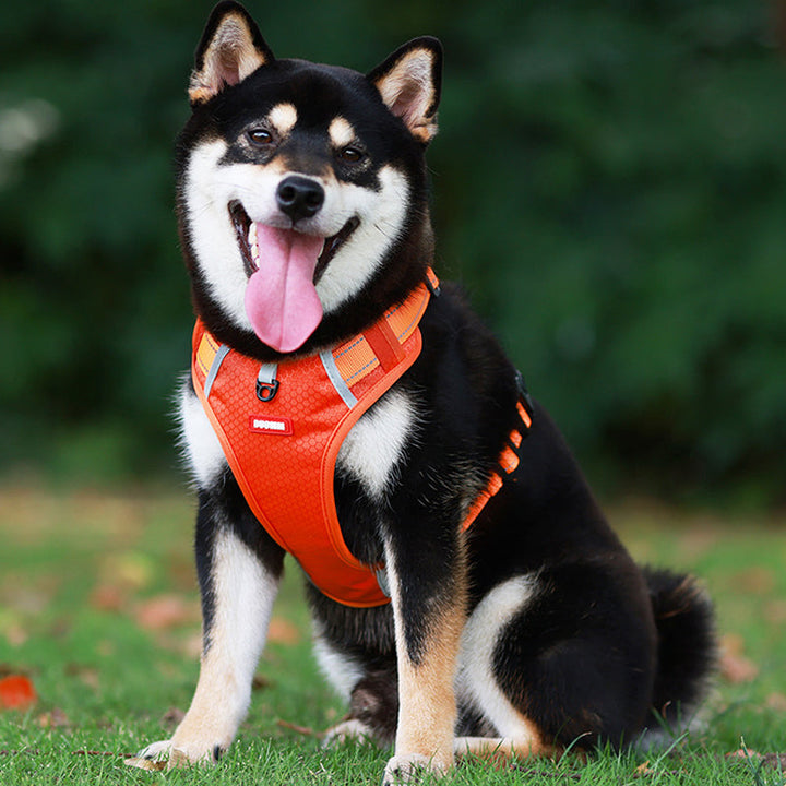 Lisslune | Reflective Dog Harness