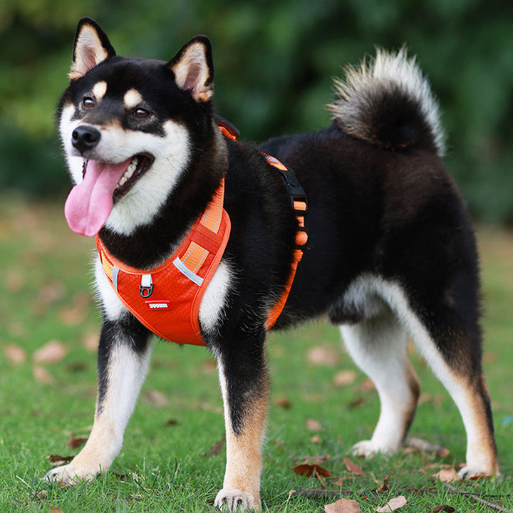 Lisslune | Reflective Dog Harness