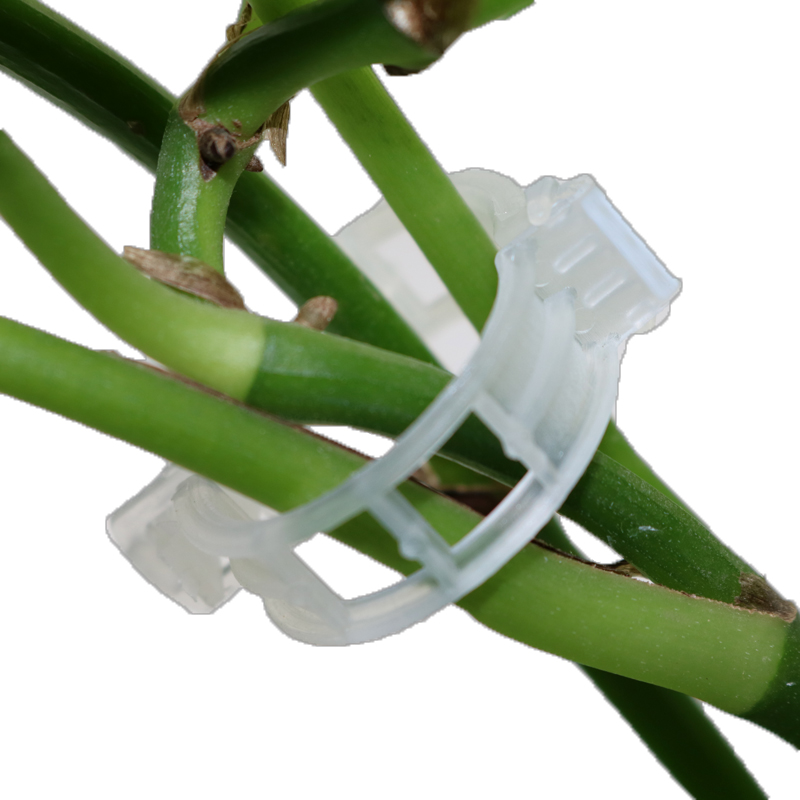 Lisslune | Plant support clip for climbing plants – Flexible holder for plant stems