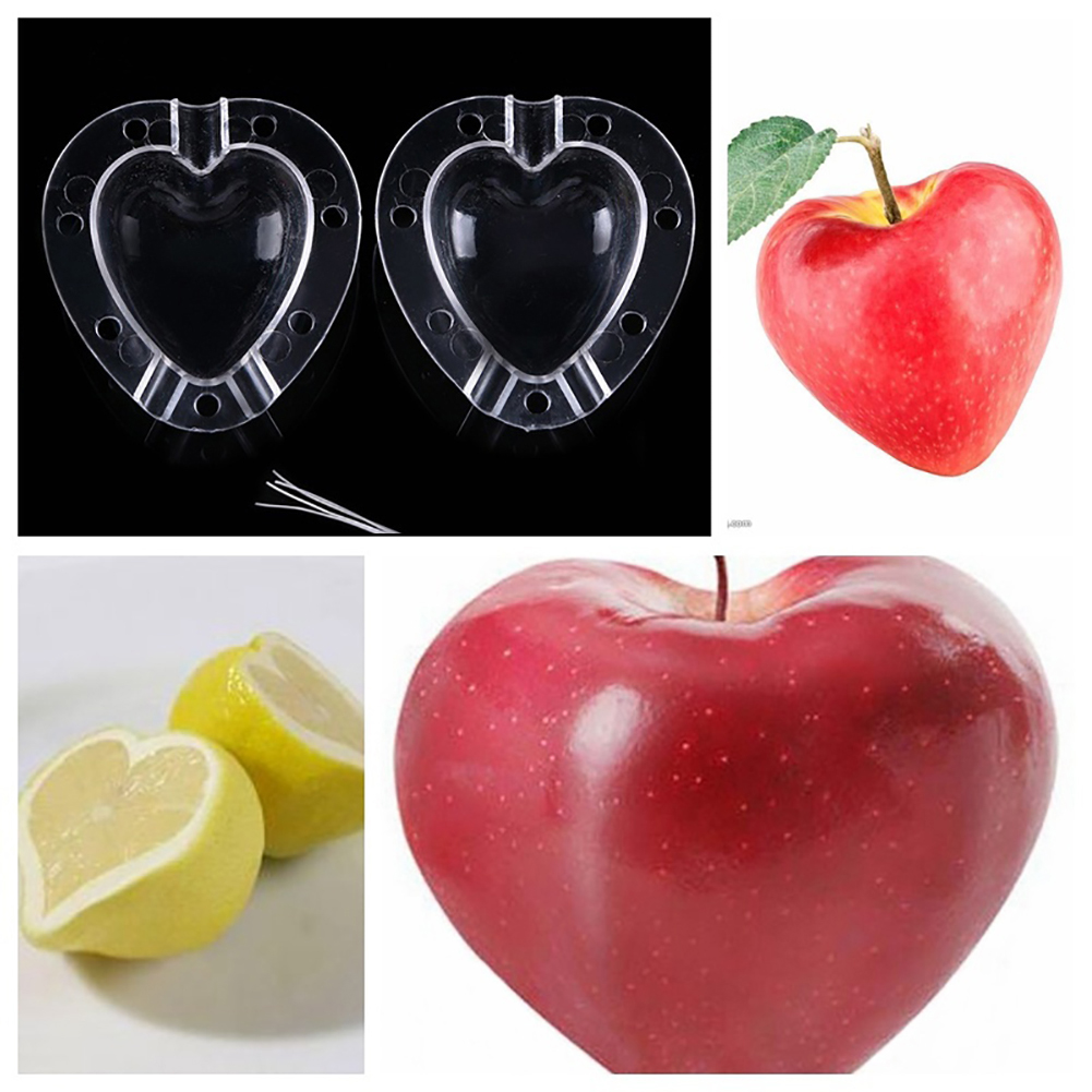 Lisslune | Heart Shaped Vegetable Cutter – Creative Mold Bowl for Vegetables and Fruits