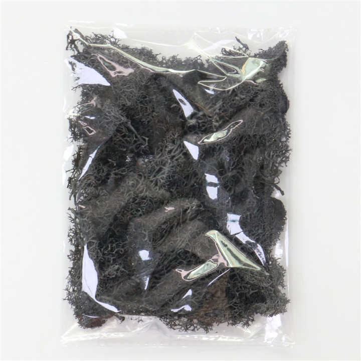 Lisslune | Artificial Moss for Landscaping – Moss and Flowers for Decoration and Floristry