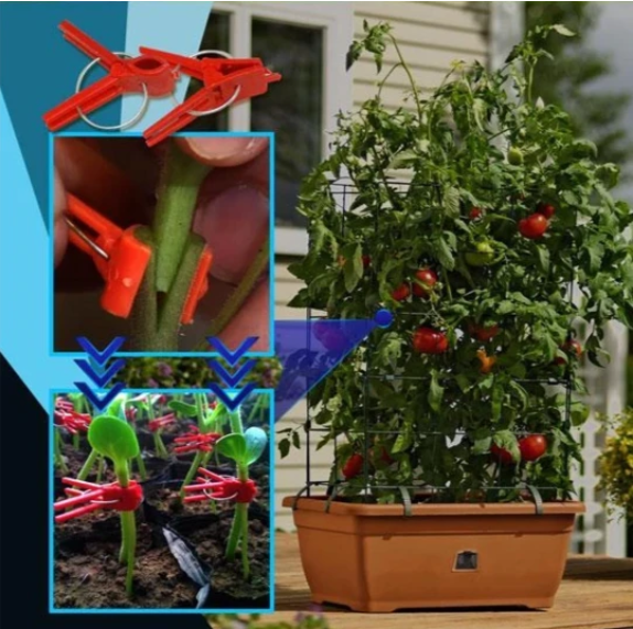 Lisslune | Plastic Refinement Clips for Garden Plants – Ideal for Vegetables and Plant Care