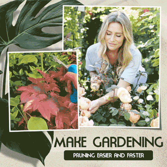 Lisslune | Portable pointed pruning shears