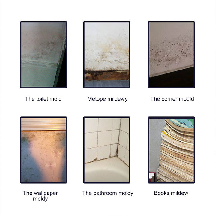 Lisslune | Mold Cleaner Foam