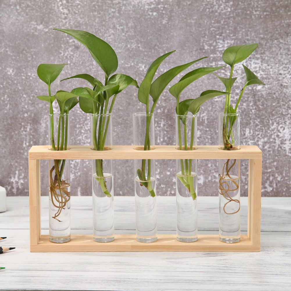 Lisslune | Test Tube Vase