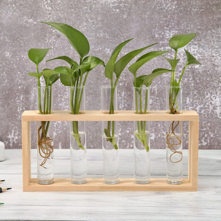 Lisslune | Test Tube Vase