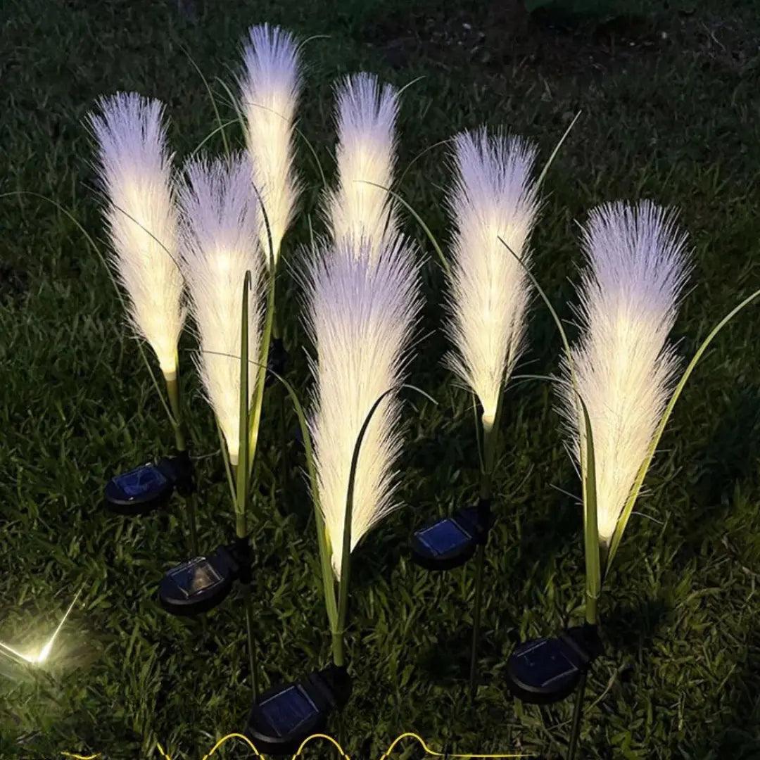 Lisslune | EcoGlo – Sustainable Solar Reed Lamp