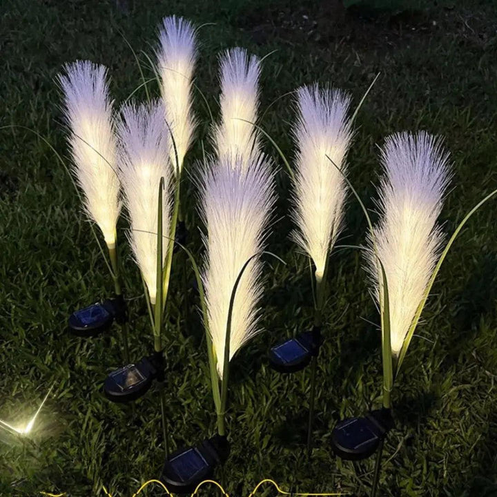 Lisslune | EcoGlo – Sustainable Solar Reed Lamp