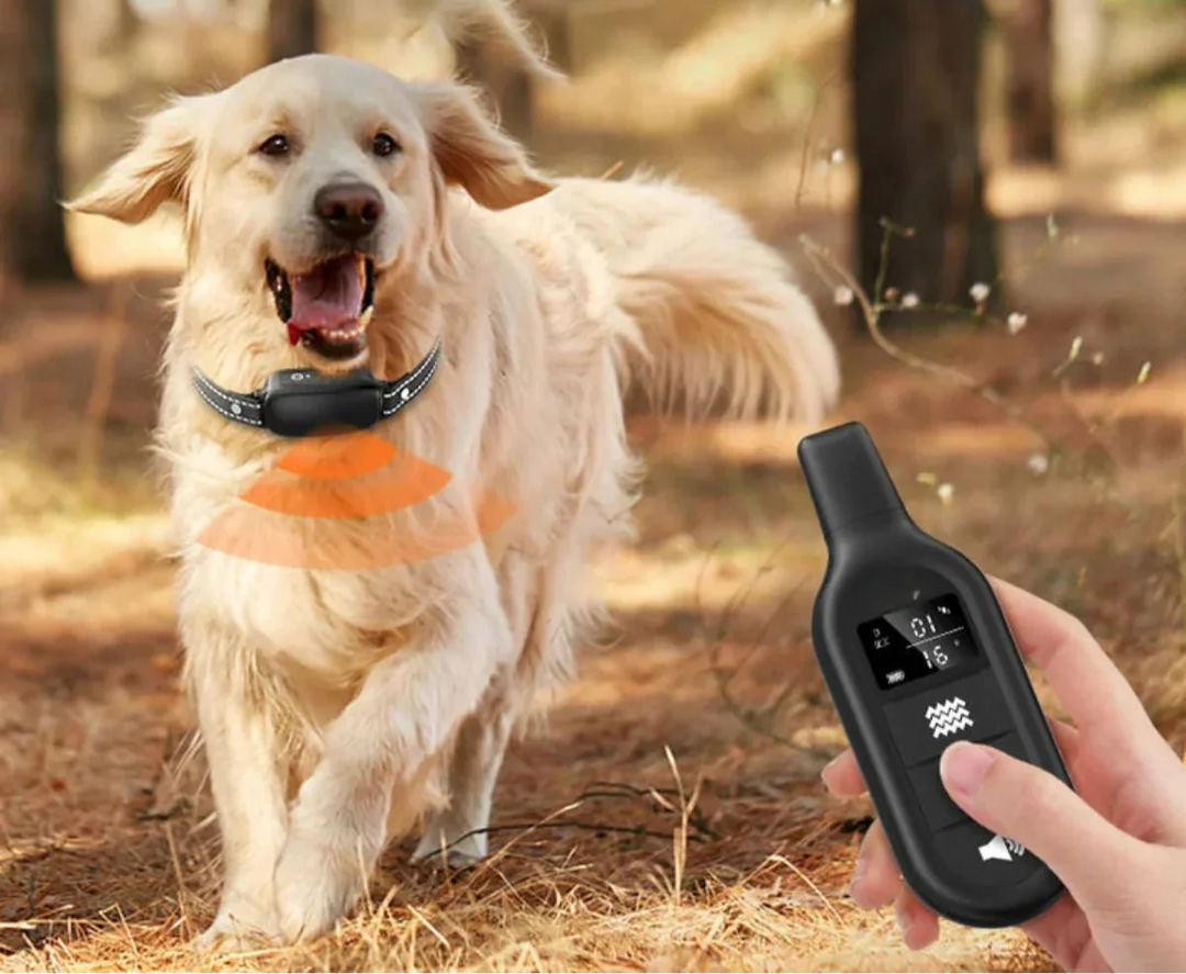 Lisslune | Dog Coach Pro Training Collar – Waterproof Electronic Collar with Remote Control