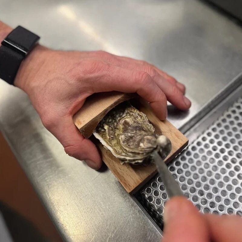 Lisslune | Oyster opening clamp