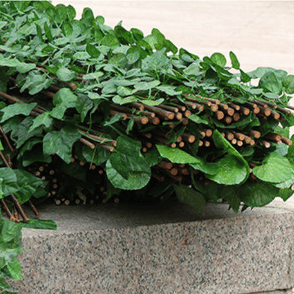 Lisslune | IntimyGreen - Premium Expandable Plant Fence