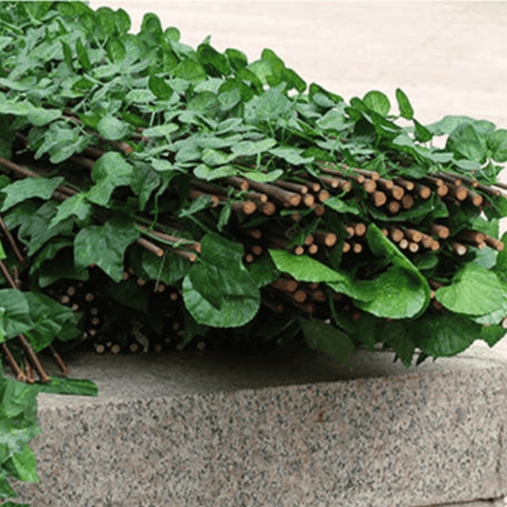 Lisslune | IntimyGreen - Premium Expandable Plant Fence