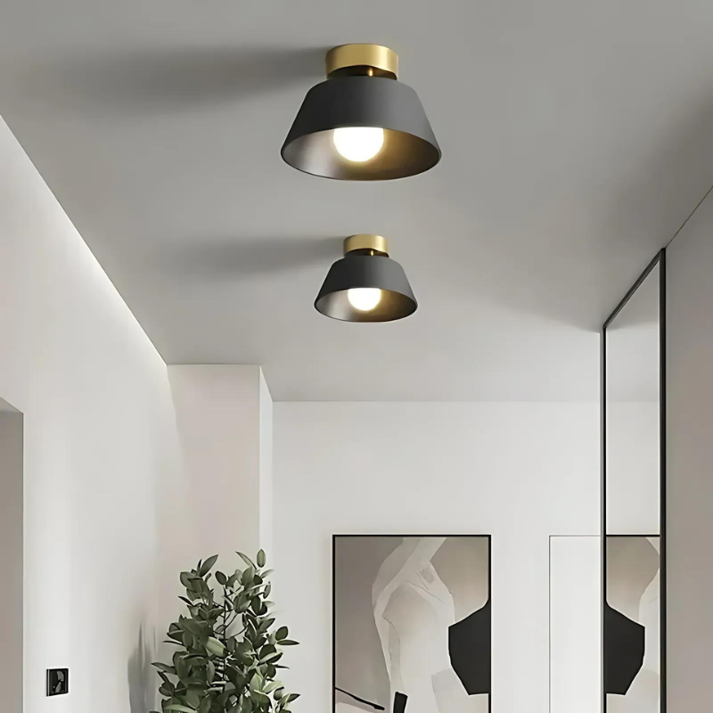 Lisslune | | Stylish LED ceiling lamp for your home