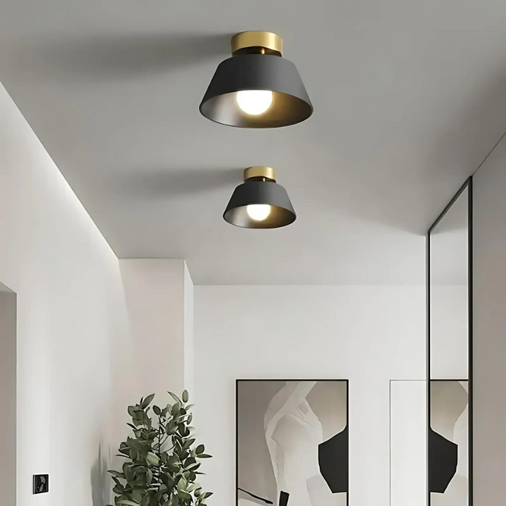 Lisslune | | Stylish LED ceiling lamp for your home