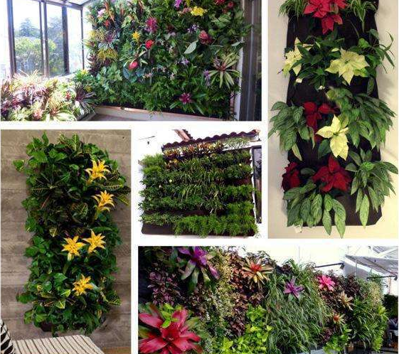 Lisslune | Plant wall bags for garden – Vertical planter for indoors and outdoors