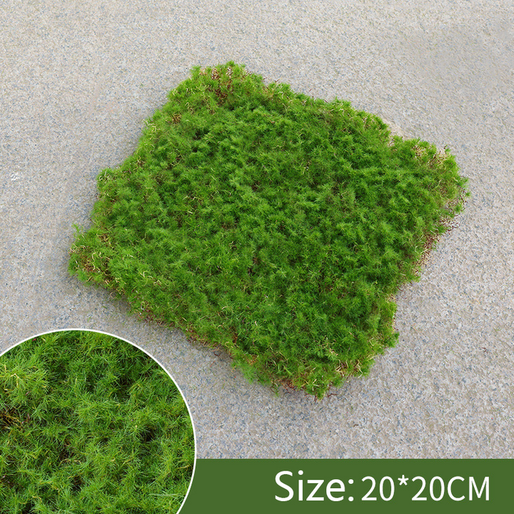 Lisslune | Moss Cover Piece – Moss Flakes Ornament for Decoration and Landscaping