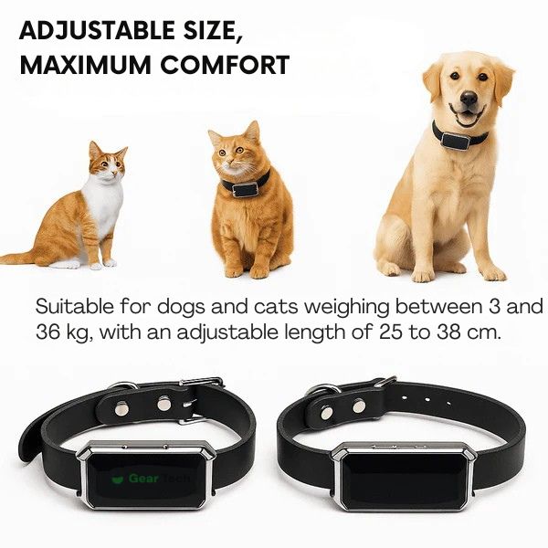 Lisslune | GPS Dog Collar | Waterproof, Adjustable & Unlimited Range for Real-Time Tracking