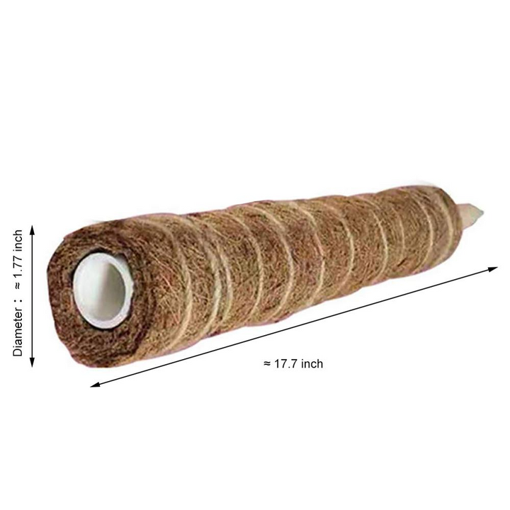 Lisslune | Coconut moss stick for climbing plants – Natural climbing aid for houseplants and garden